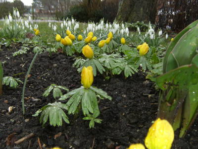 Bild 101 aus  Ostsee Ferienhof Kluvetasch