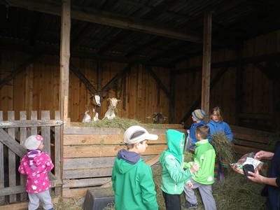 Bild 7 aus  Ferienhof Halbig