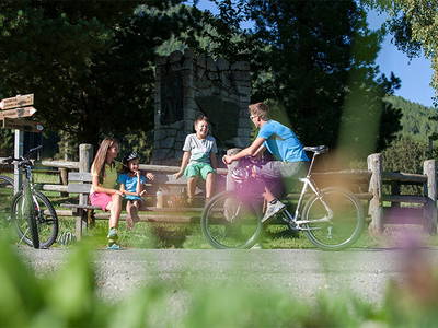 Bild 4 aus  Willmüllerhof