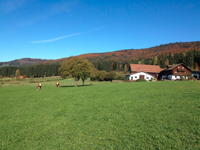 Bild 4 aus  Ferienhof Pauli