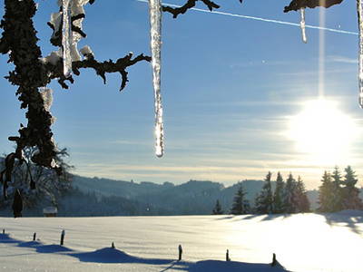 Bild 10 aus  Biohof Bilger