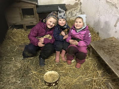 Bild 39 aus  Ferienhof Schlünzen