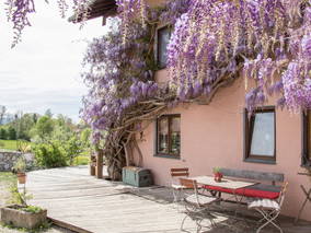 Bild 8 aus  Ferienwohnungen Beim Danner