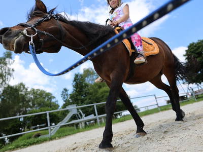 Bild 28 aus  Ferienhof Feinen