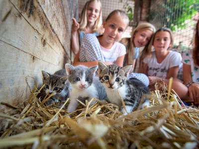 Bild 10 aus  Ferienhof Christmann