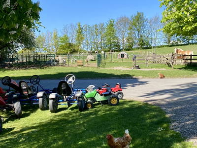 Bild 72 aus  Ferienhof Messer  Bauernhofurlaub  Ostseenähe  Ponys