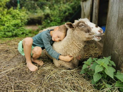 Bild 20 aus  Ostseebauernhof