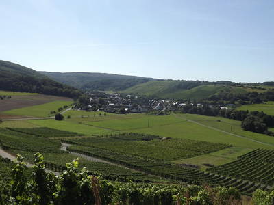 Bild 9 aus  Ferienweingut Becker