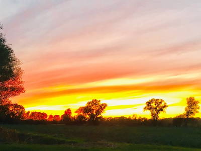 Bild 13 aus  Ferienwohnung im Rosengarten