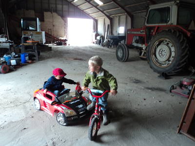 Bild 7 aus  Fredensminde Ferie