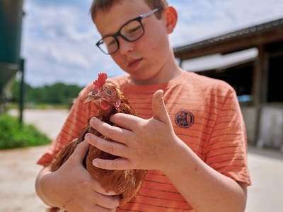 Bauernhoftiere hautnah