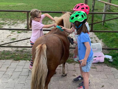 Bild 9 aus  Hof  Wesselmann