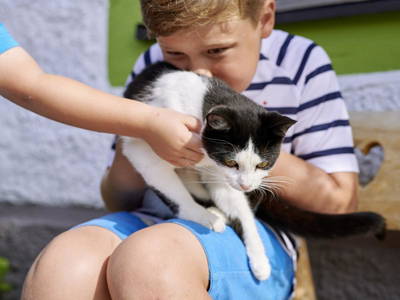 Bild 13 aus  LandSelection Staller Ferienhof