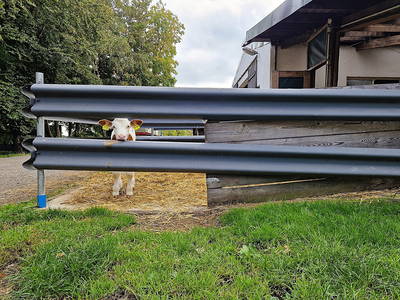 Bild 14 aus  Ferienhof-Marx