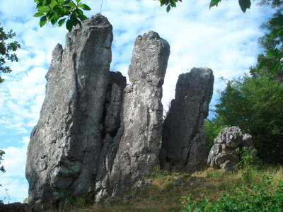 Bild 22 aus  Ferienhof Hohe - Familienfreundlicher Bio Bauernhof in idyllisch gelegenem Dorf.