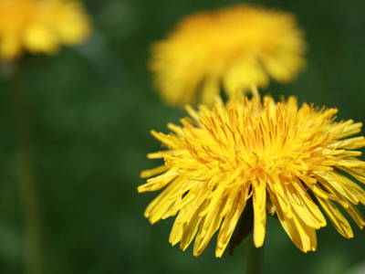 Bild 19 aus  Ferienhof Rasch