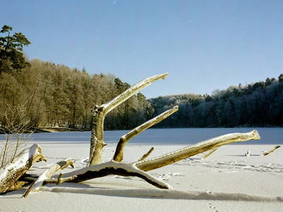 Bild 21 aus  Behringhof am Gamengrund