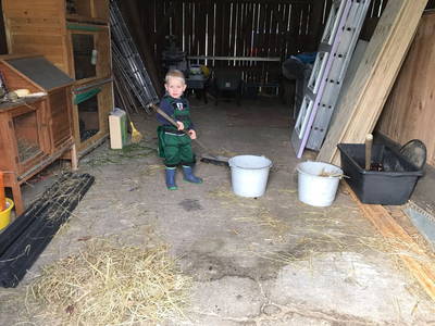 aufräumen und wieder aufräumen