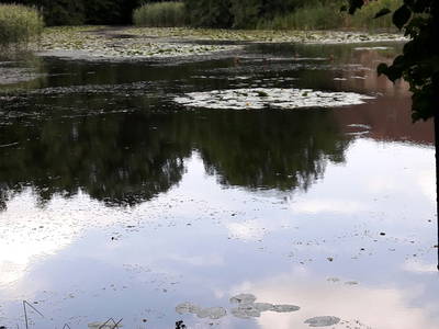 Bild 9 aus  Bauernhof Wujanz