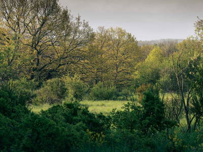 Bild 19 aus  NEUGRAD Eifel