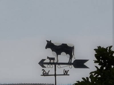 Bild 23 aus  Hof Belvedere an der Ostsee