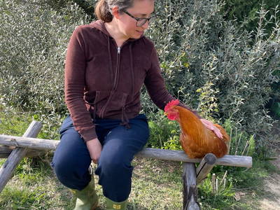 Bild 11 aus  Rifugio Seremus