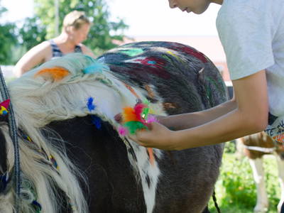 Bild 11 aus  Premium - Ferienhof Lunau