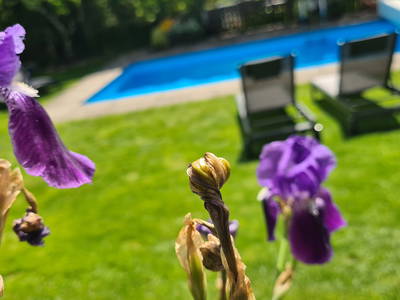 Bild 13 aus  Ferienwohnungen Innerhofer Riffian bei Meran - Adults Only