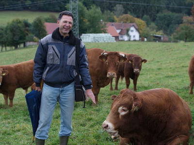 Bild 9 aus  Siefertshof