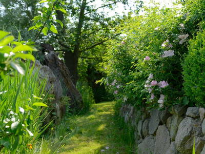 Idylle rund um das Haus