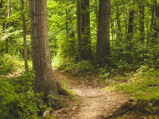 Bild 6 aus  Pension Oelschlegel