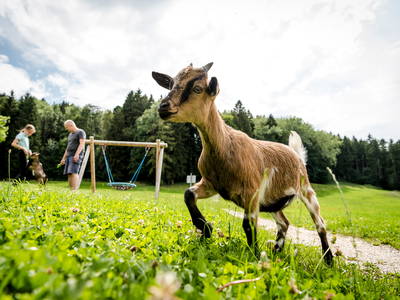 Bild 15 aus  LandSelection Hanznhof
