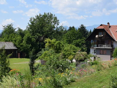 Bild 24 aus  Forstbauer am Millstätter Hochplateau