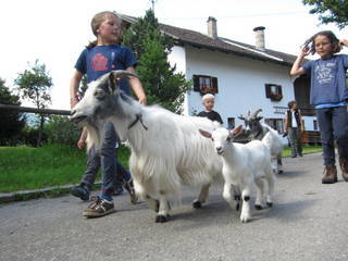 Bild 11 aus  Beim Schmied