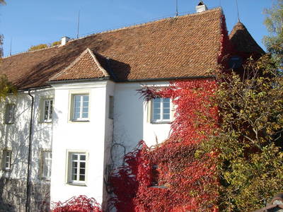 Bild 3 aus  Die Tannenburg