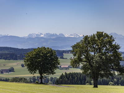 Bild 29 aus  Allgäu Bergferienhof
