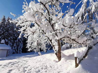 Bild 11 aus  Bergerhöh Suiten