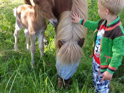 Bild 19 aus  Fredensminde Ferie