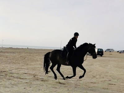 Bild 63 aus  Lindenhof