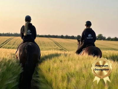 Bild 2 aus  Premium - Ferienhof Lunau