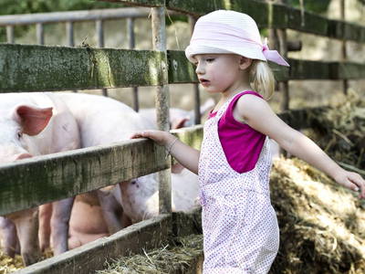 Bild 31 aus  Demeterhof Dünninger