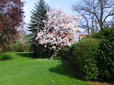 Bild 7 aus  Mühlenhof