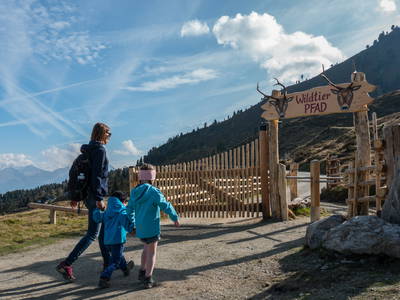 Bild 21 aus  Zillertaler Hofchalets