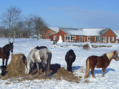Bild 20 aus  Houdam Farm
