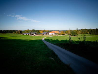 Bild 54 aus  LandSelection Gut Grasleiten