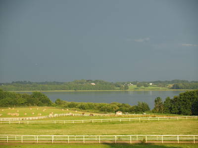 Bild 13 aus  Gestüt Hof am See