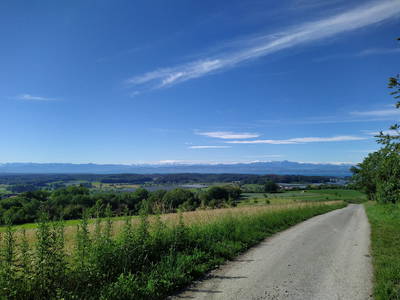 Bild 11 aus  Ferienhof Gehrenberg