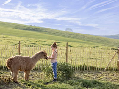 Bild 8 aus  LandSelection Hof Hardthöhe