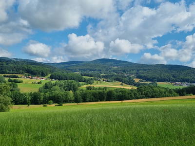 Bild 12 aus  Landgasthof Kammbräu