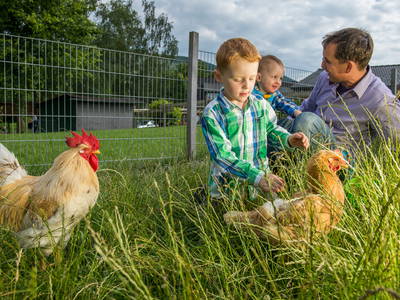 Bild 22 aus  Landhaus Schulte-Göbel